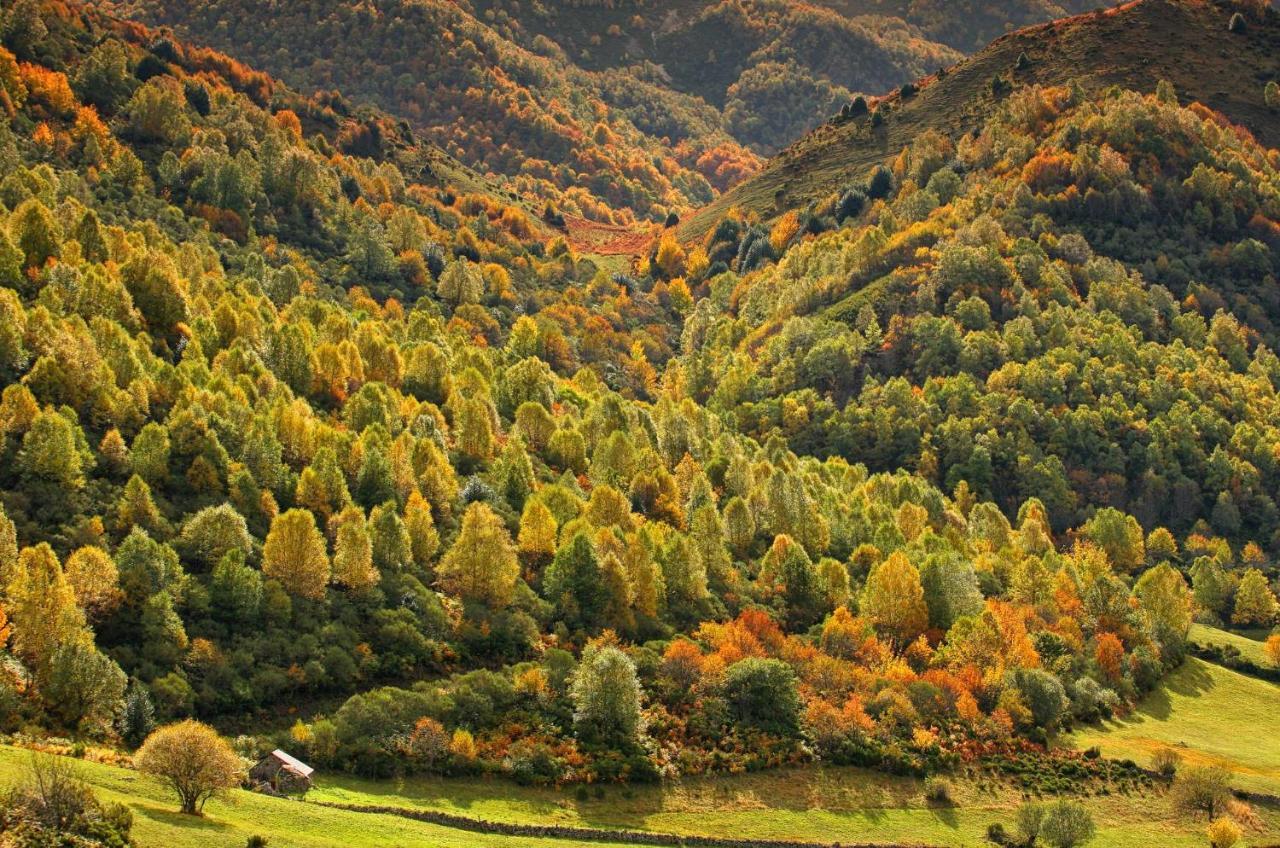 El Pedroso De Llanes Hébergement de vacances Villahormes