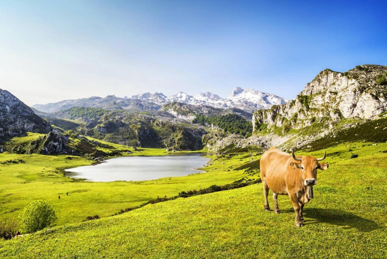 Hébergement de vacances El Pedroso De Llanes *